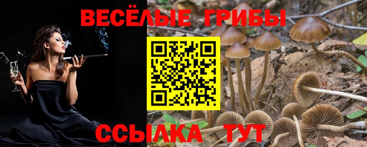 Белово  Псилоцибиновые грибы ЛСД  купить наркотики цена  Вход с VPN 